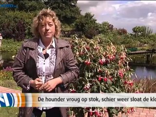 Het Weer [19-7-2012] - RTV Noord