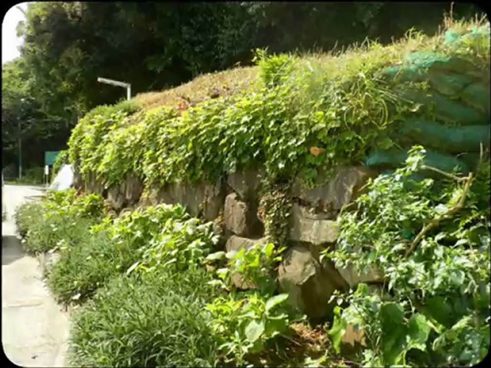 高知県_桂浜