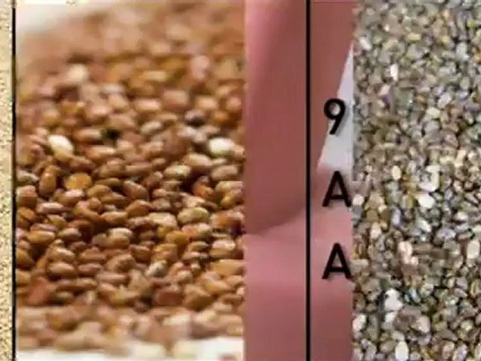 NC FitClub: Fitness and Helping People Transform Their Lives