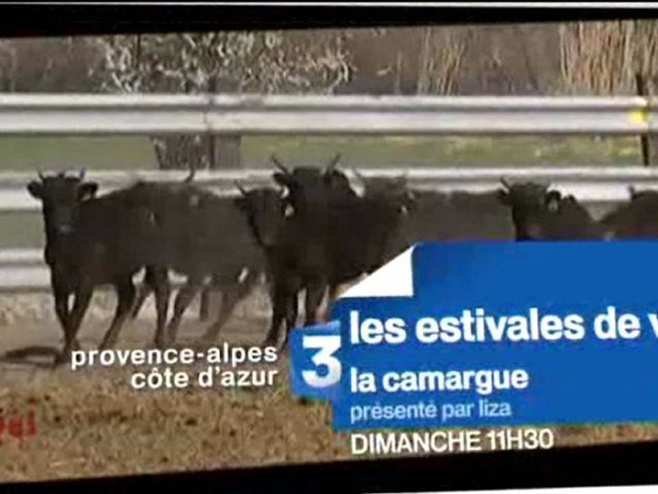 Bande annonce ESTIVALES VAQUI  - 2 septembre  2012