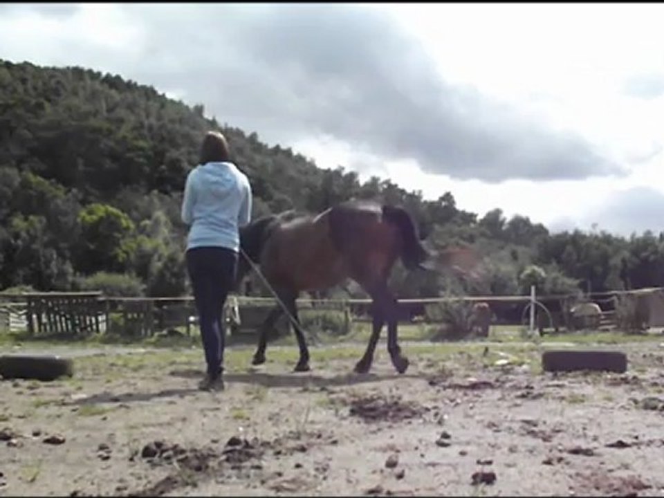 travail a pied