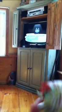 Animal Crossing: City Folk DS Suitcase