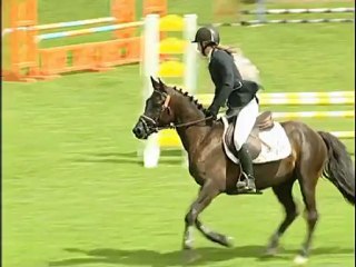 Vente FPPCF / Euro Poney / 418 ULLYWOOD DU MYSTERE