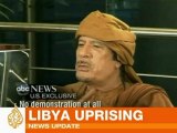 Gaddafi blames al-Qaeda