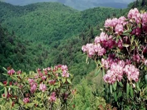 Huzur Dolu Bir Yolculuk...