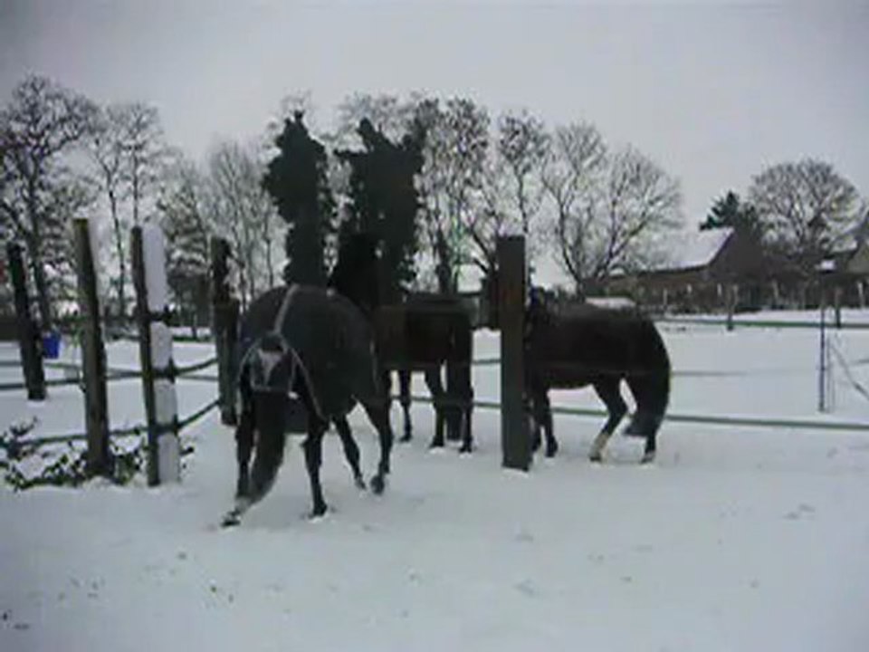chute du noir
