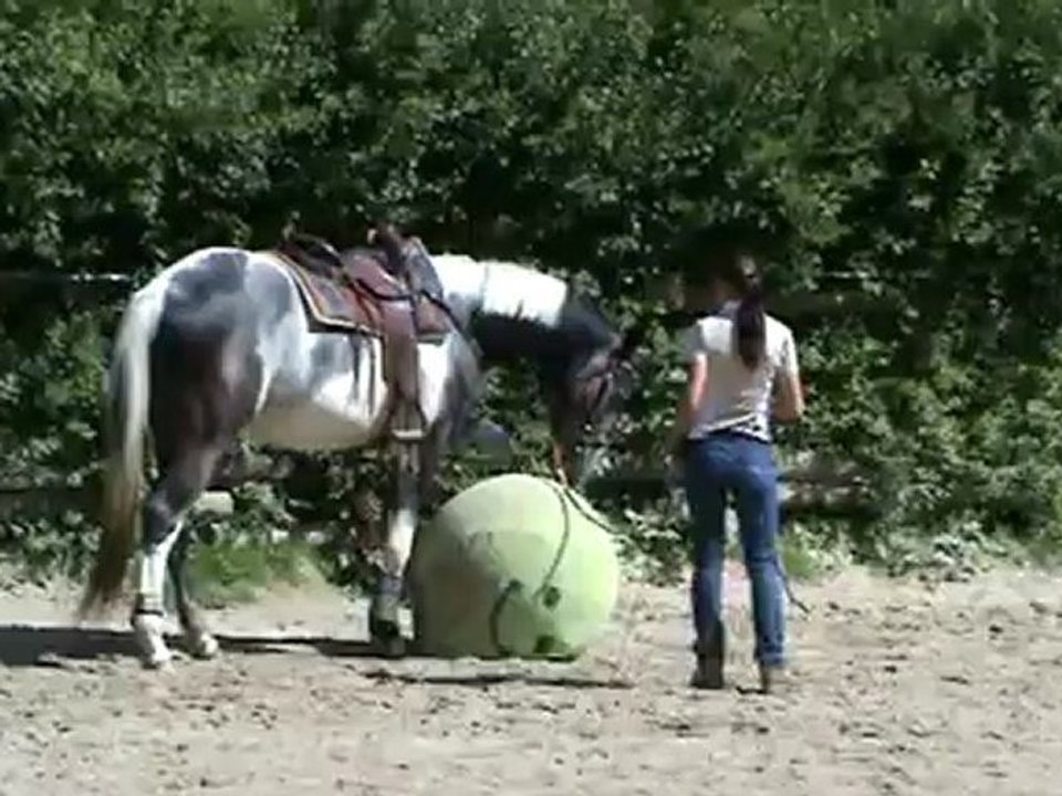 Le ballon - peut faire mieux..