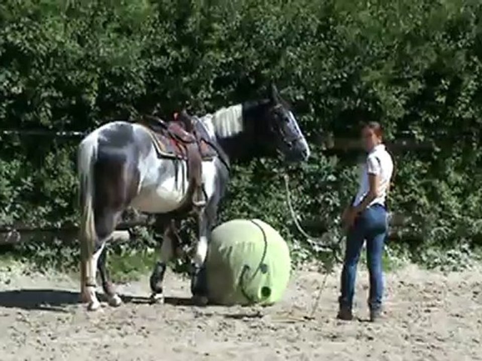Le ballon - le tout début