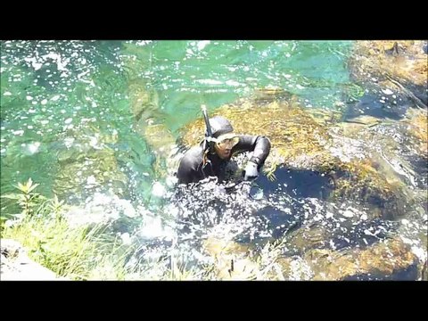 truites d'été n°2