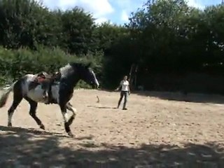 Liberté - Cercle galop à gauche - Transistions - Revenir