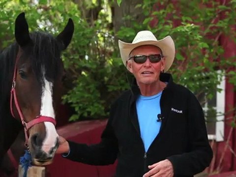 Horseback Riding Ottawa - How do you get on a horse?
