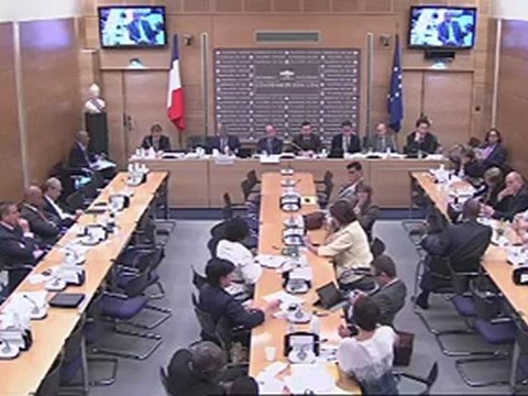 SERGE LETCHIMY, DEPUTé ACTIF DANS LES COMMISSIONS (3)