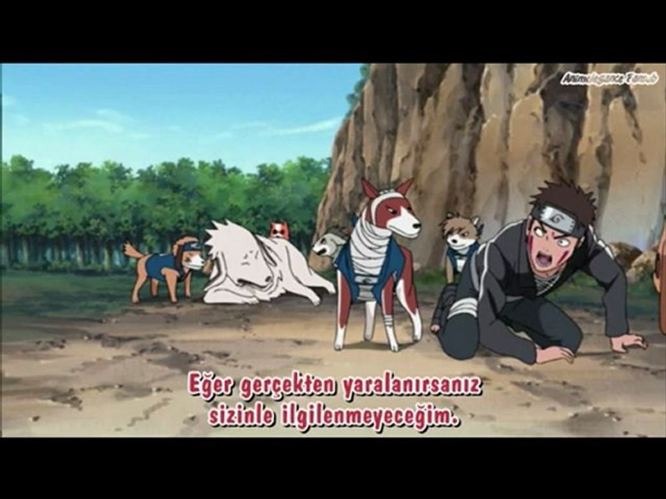 Kakashi ' s Dog Vs Kiba  Ve Akamaru.
