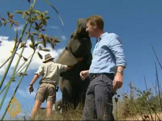 SA rhinos get unlikely protectors