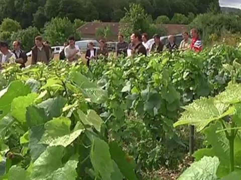 Les vignerons aubois se mettent au bio (Les Riceys)