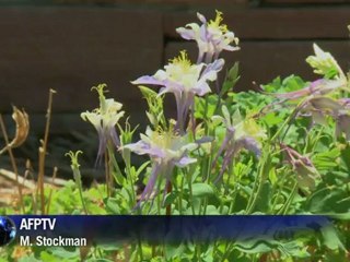 Columbine revive su masacre