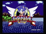CGRundertow SONIC THE HEDGEHOG for Sega Genesis Video Game Review
