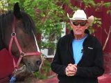 Horseback Riding Ottawa - What is the importance of horseback riding lessons?