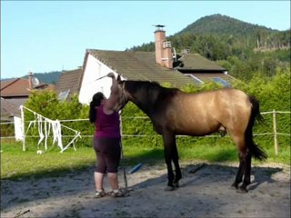travail à pieds Vertigo juillet 2012