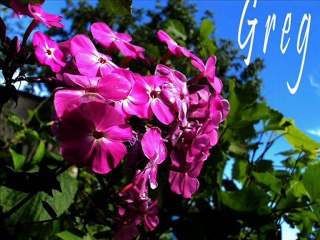 Moje hobby -) (gugreg) _Tajemniczy_ cz 3