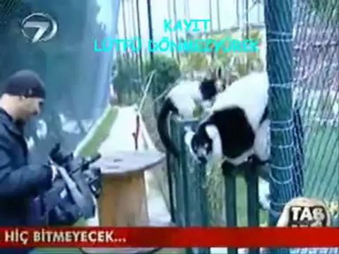 Atilla Taş Devri DARICA ve HAYVANAT BAHCESi-BÖLÜM-3-lütfü dönmezyürek