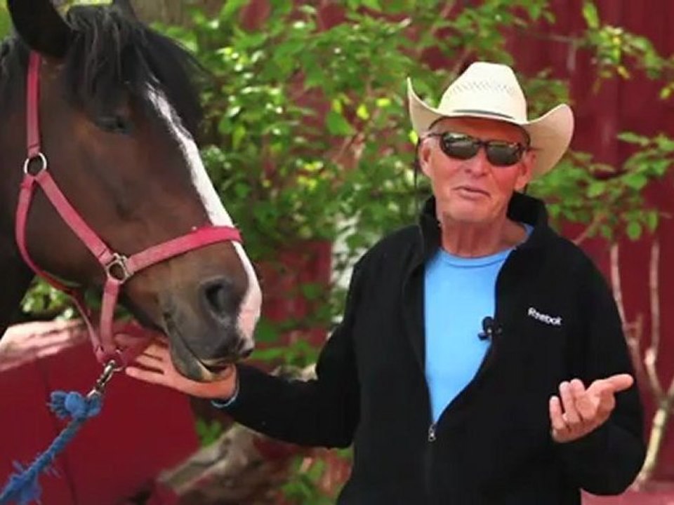 What makes Captiva Farms such a special community?