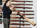 Jesse Lethbridge didgeridoo #416 Key 'D'