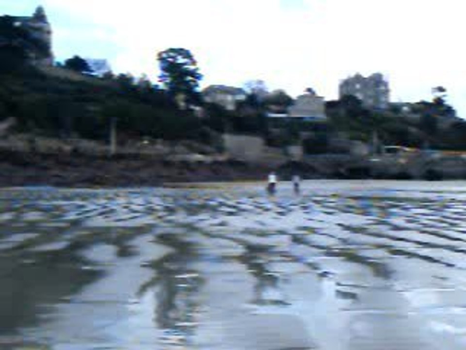 greyhound à Dinard