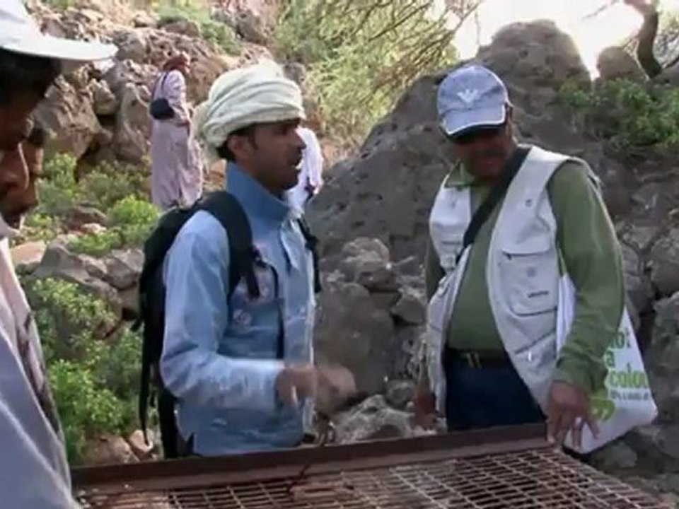 Witness - Saving the Leopard