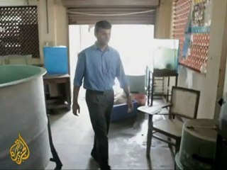 India dabbles in fish genetic experiments