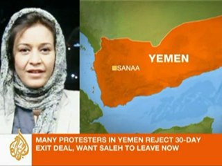 Yemeni activist discusses power transfer negotiations