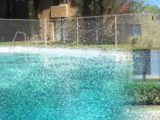 University Apartments in Jacksonville, FL - ForRent.com