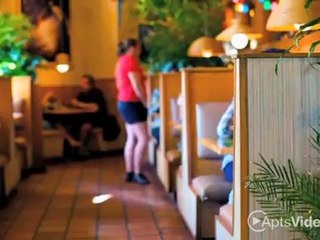 Reserve at City Center North Apartments in Houston, TX ...