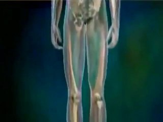 Knee Replacement Surgeon Chennai