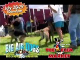 Dock Jumping Competition | Big Air Dogs | Flea Market Events