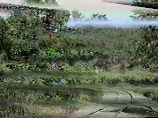 Blue Mountain  and Reading In It's Early Years