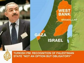 Why Palestinians are going to UN Security Council