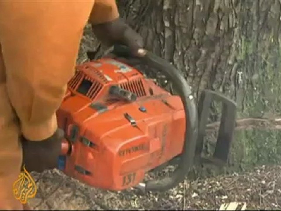 Poll jeopardises Kenya forest protection