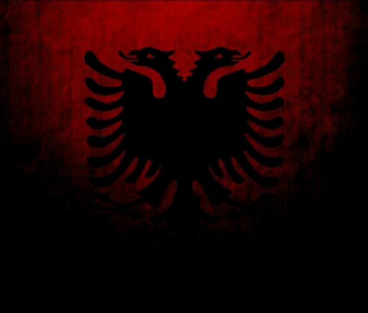 ⁣Eminem - My Albanian Brothers