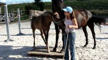 Comète de l'Abrannaz: 4,5mois