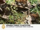 Uganda's plantation workers' fate in limbo