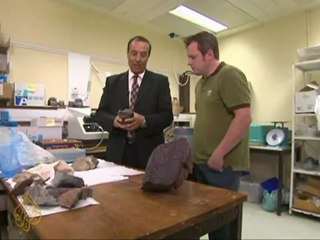 Scientists index Oman's galaxy of meteors