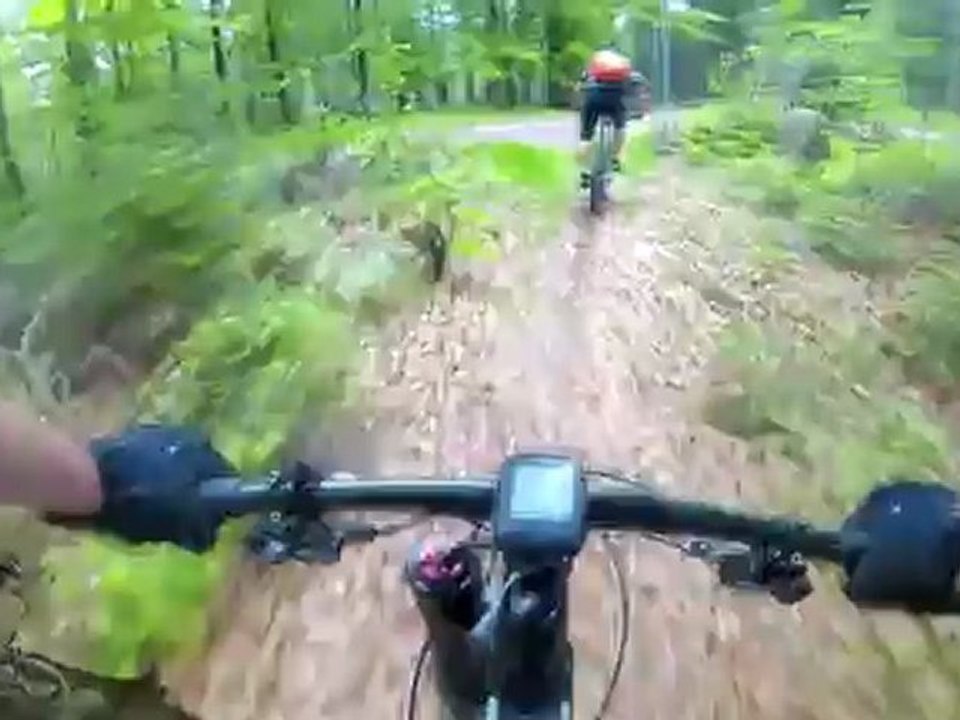 Forêt Noire 2012 - Raid 4 Saisons