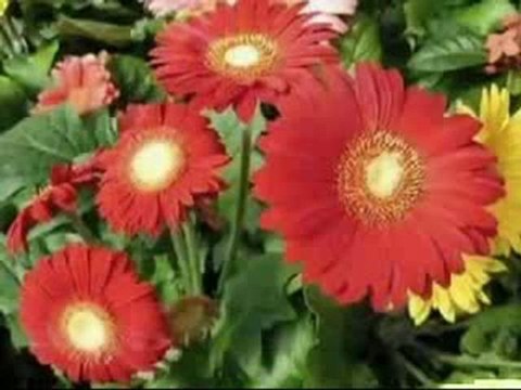 Orhan Hakalmaz Al Eline Kalbini Hak Edene Ver