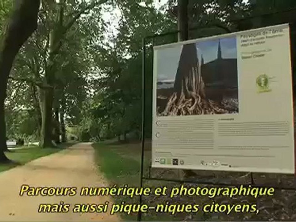 Retour sur les festivités Rousseau 2012