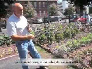 Le centre hospitalier de Valenciennes innove avec un potager biologique