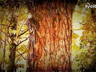 Finlandia - Xabier Saldias eta Ines Osinaga