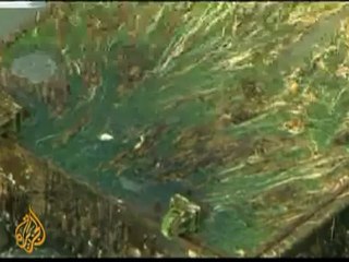 Tsunami battered dock washes ashore in US