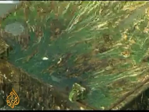 Tsunami battered dock washes ashore in US