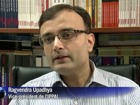 Inde: tous les réseaux électriques réparés après le black-out